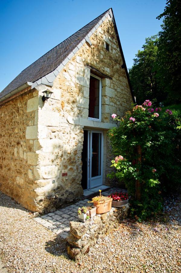 Domaine De La Juranvillerie, Gite Et Chambres D'Hotes Rigny-Ussé 外观 照片