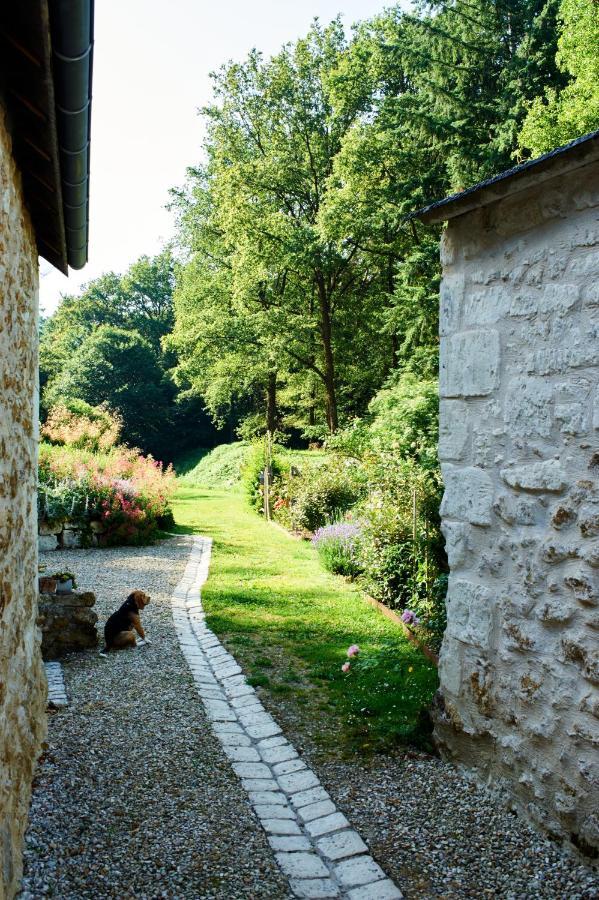 Domaine De La Juranvillerie, Gite Et Chambres D'Hotes Rigny-Ussé 外观 照片
